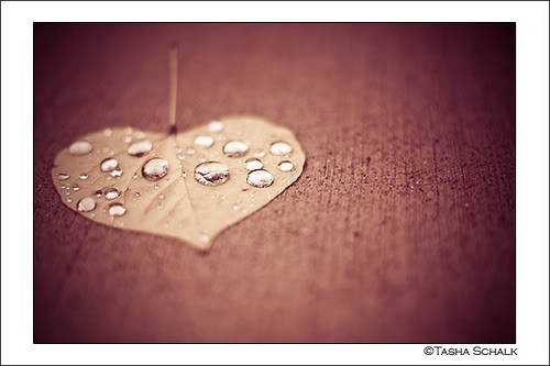 Let’s Talk About Emotions For A Minute: Listen To Your Heart!