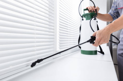 Benefits of Hiring a Pest Control Company with Ideal Reviews