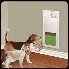 Choosing Electric and Automatic Dog Doors