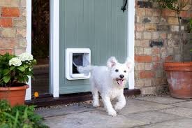 A Guide in Selecting an Excellent Dog Door for Home
