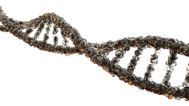 How can DNA be damaged?