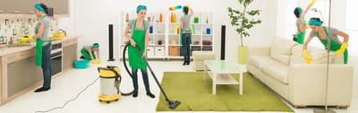 Home Cleaning and Maintenance image