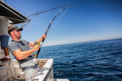 What You Need to Understand for You to Choose the Best Fishing Charters? image