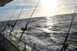 Tips for Choosing the Best Fishing Charters image