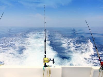 Learn About Fishing Charters image