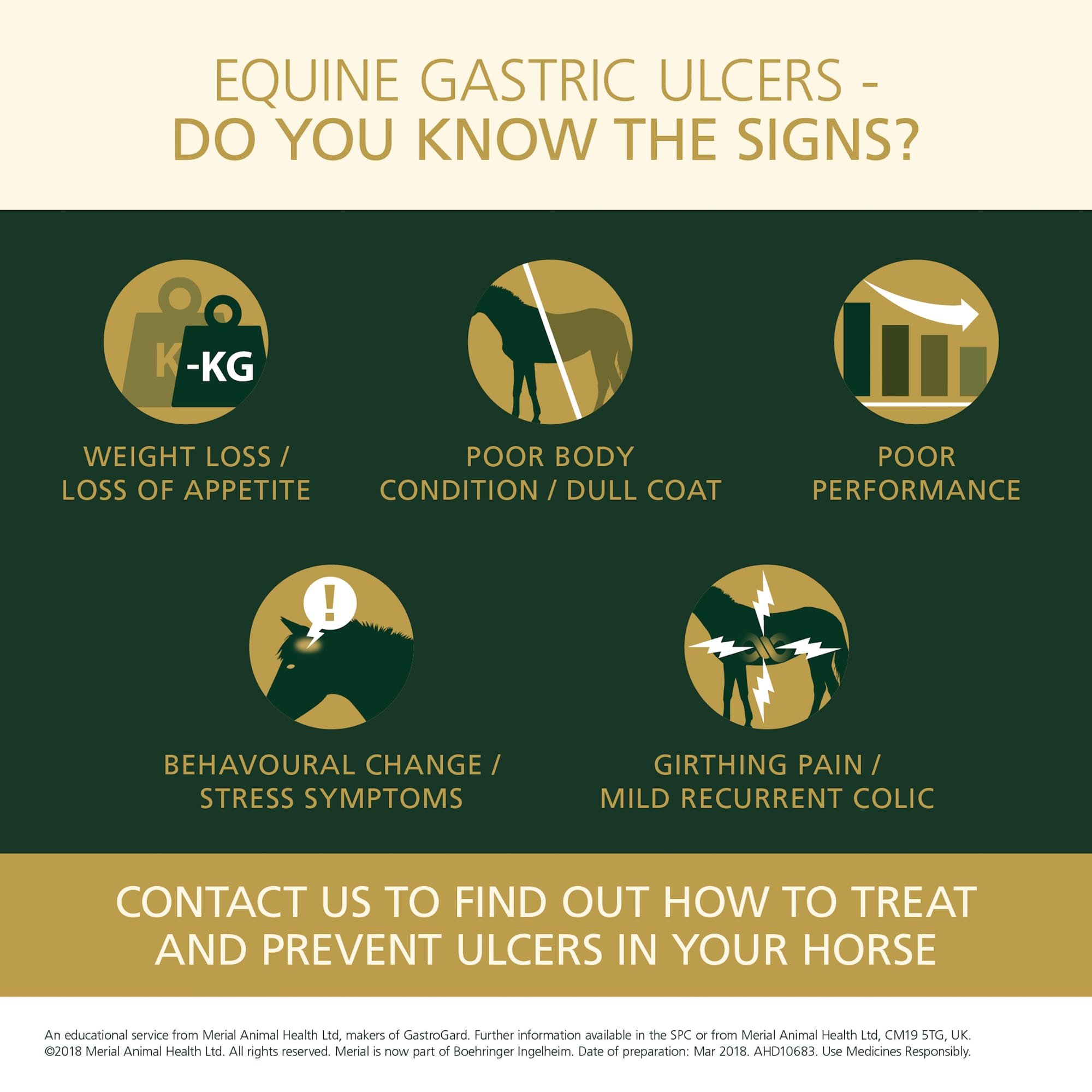 Equine Gastric Ulcers