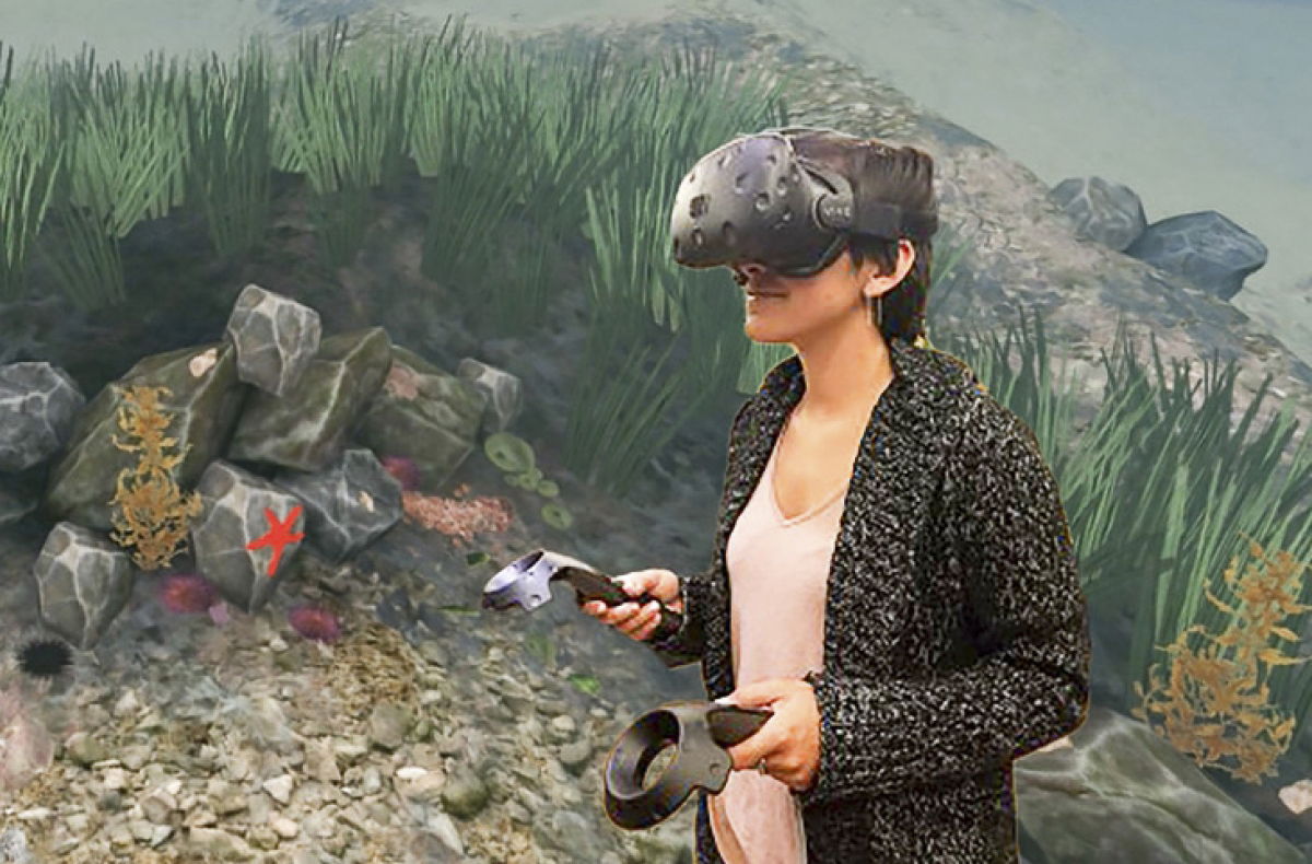 Our Environment And Virtual Reality