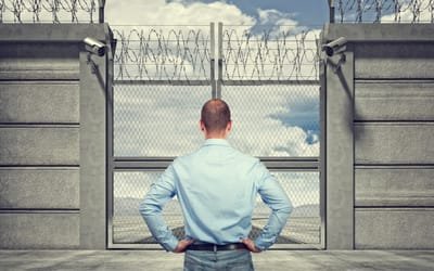 Tips to Consider When Selecting Immigration Bail Bonds Company image