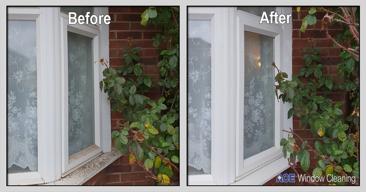 Window Clean/Restoration
