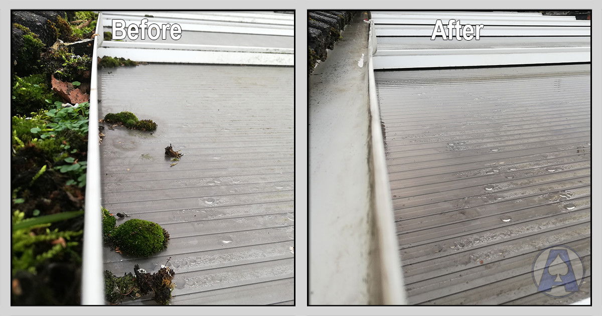 Gutter Clear and Conservatory Roof Clean