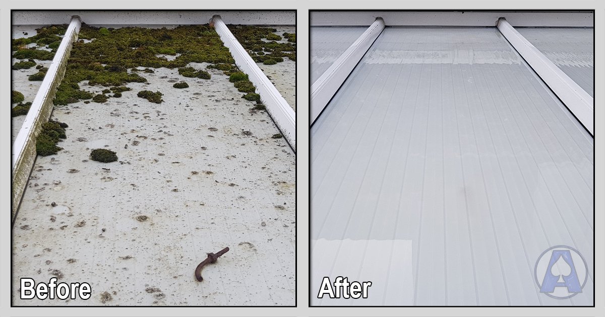 Conservatory Roof Clean