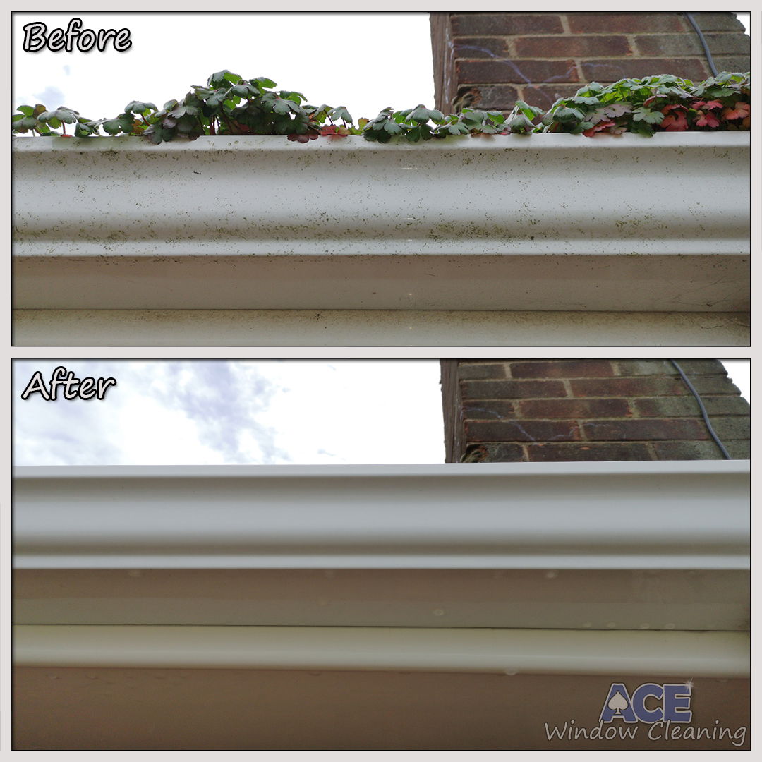Ace Gutter Cleaning and Emptying