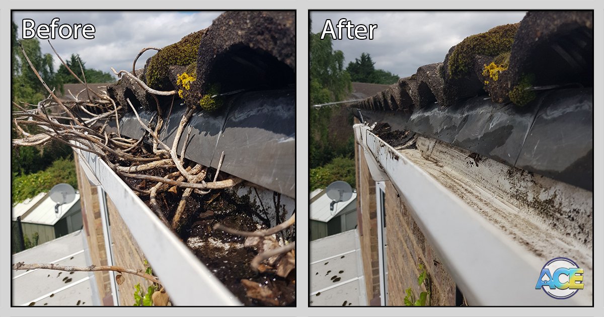 Removal of ivy from gutters