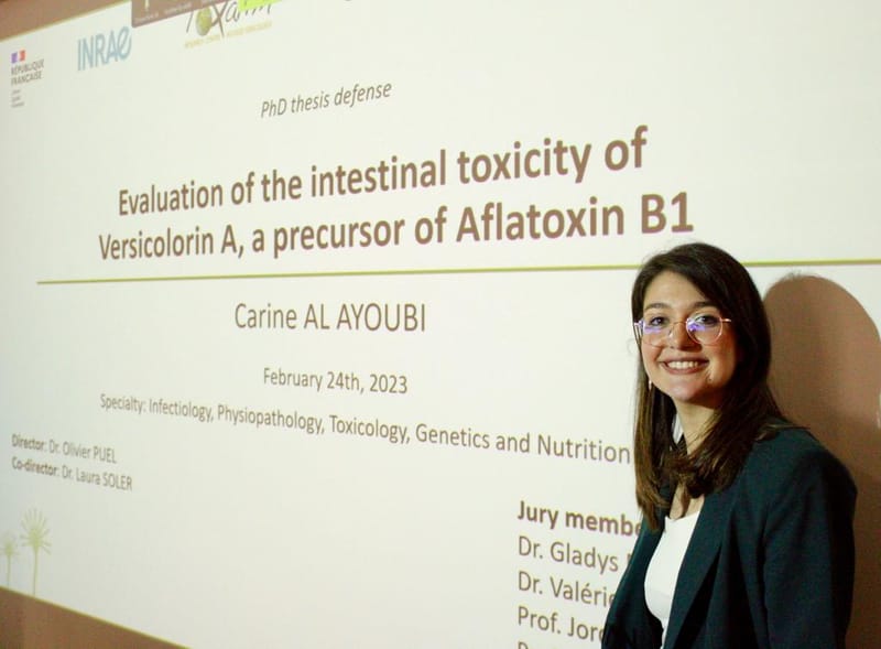 Chronique D'une Docteure En Droit - Comment J'ai Survécu à Ma