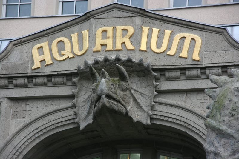Aquarium  Berlin