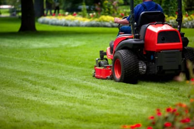 The Pros and Cons of DIY Vs. Professional Lawn Care and Maintenance image