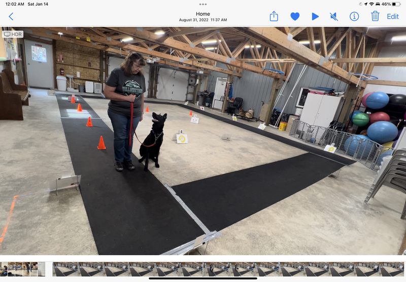 Rally/Obedience:  Tuesdays 7:30pm to 9:00pm Oct/Nov 2023