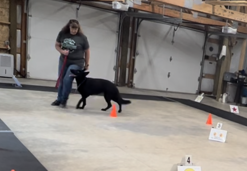 Rally/Obedience:  Tuesdays 7:30pm to 9:00pm  Jan 2023