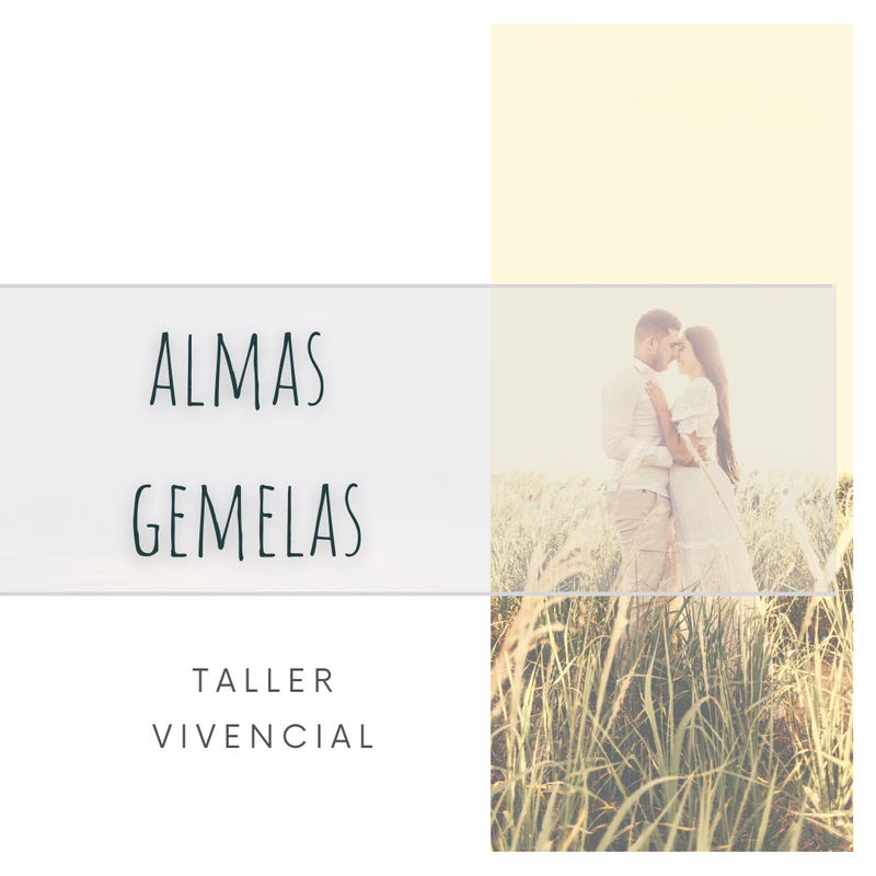 ALMAS GEMELAS