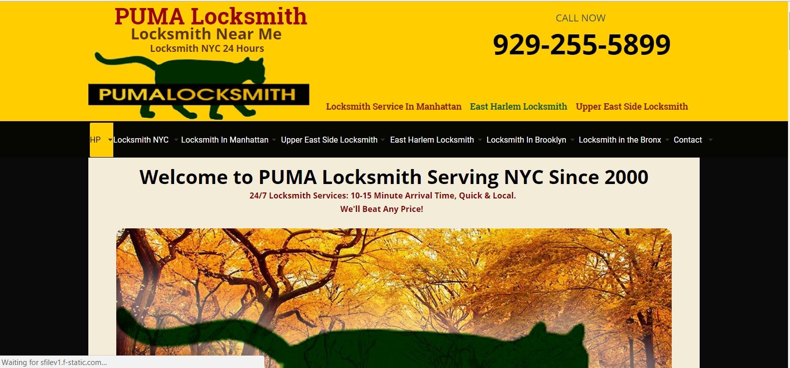 Puma Locksmith
