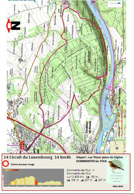 Circuit du Luxembourg 14km - sentiers de la linotte