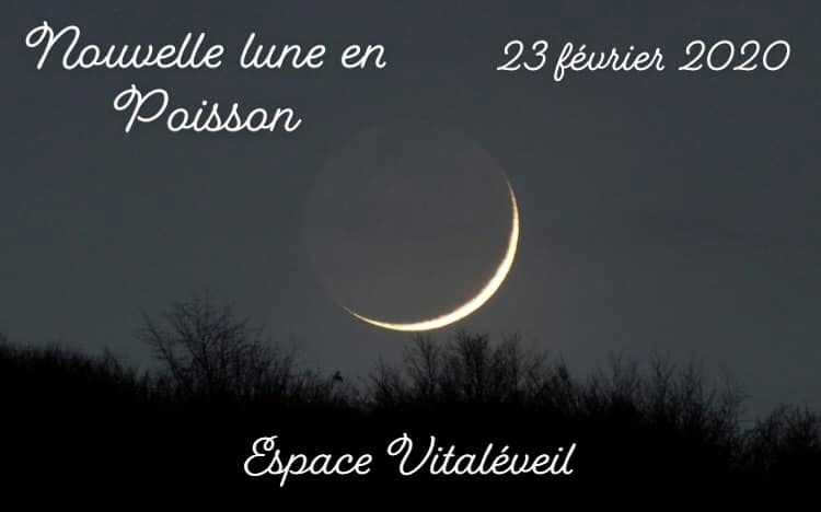Nouvelle lune en poisson du 23 février 2020