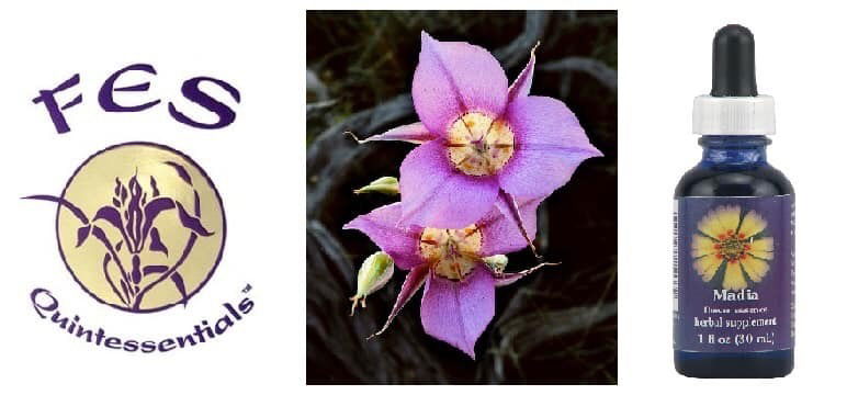 Les élixirs floraux du Covid 19