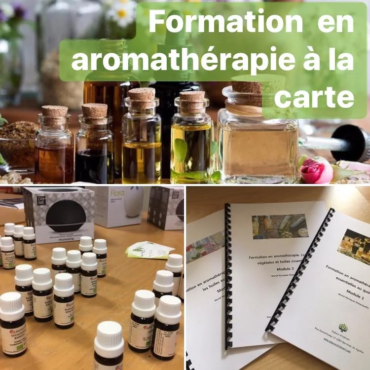 FORMATION COMPLÈTE EN AROMATHÉRAPIE MODULE 2