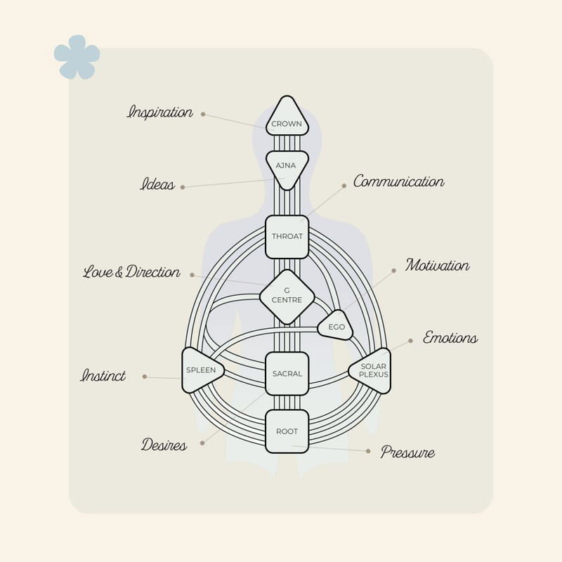 Human Design-séance découverte-individuelle - Copier