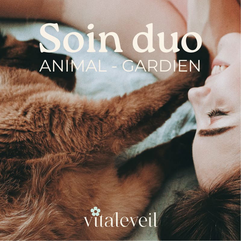 Soin Duo: Animal et Gardien