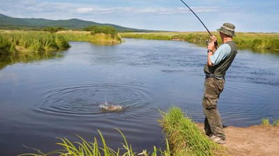 Mancing Dengan Itik image