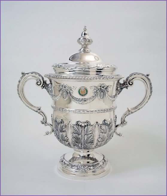 Silver trophy cup - Unique Silver Commission