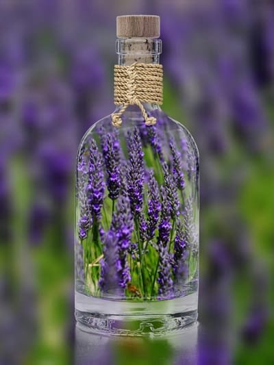 Lavendelöl image