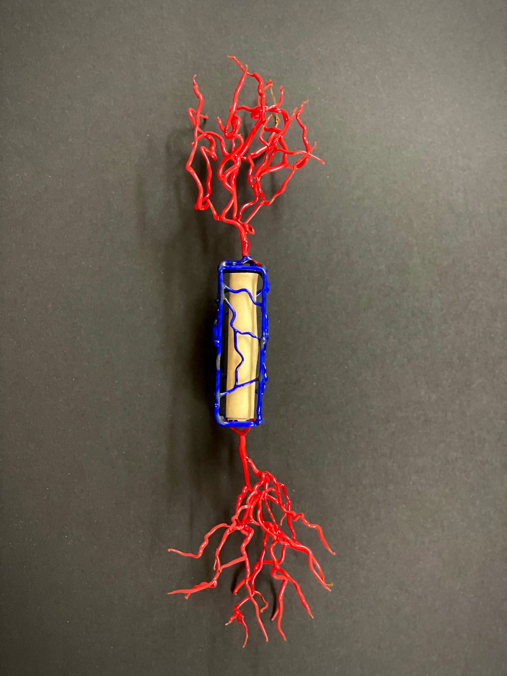 Mezuzah - Blood Vessels