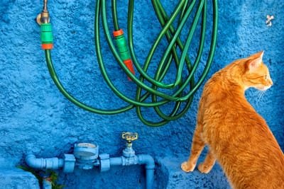 Reasons You Should Invest in a Heated Water Hose  image