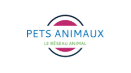 pets animaux