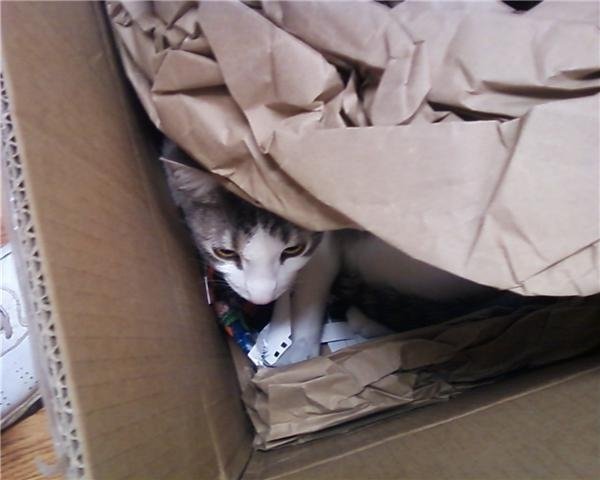 Later, that job was expanded to cover packing materials...
