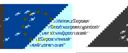 COMMISSIONE EUROPEA - FEASR