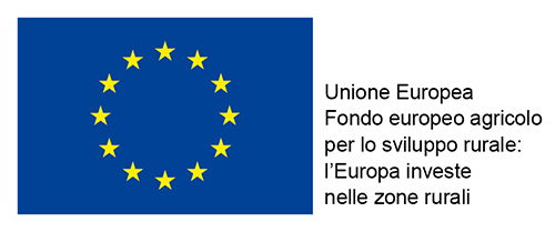 COMMISSIONE EUROPEA - FEASR