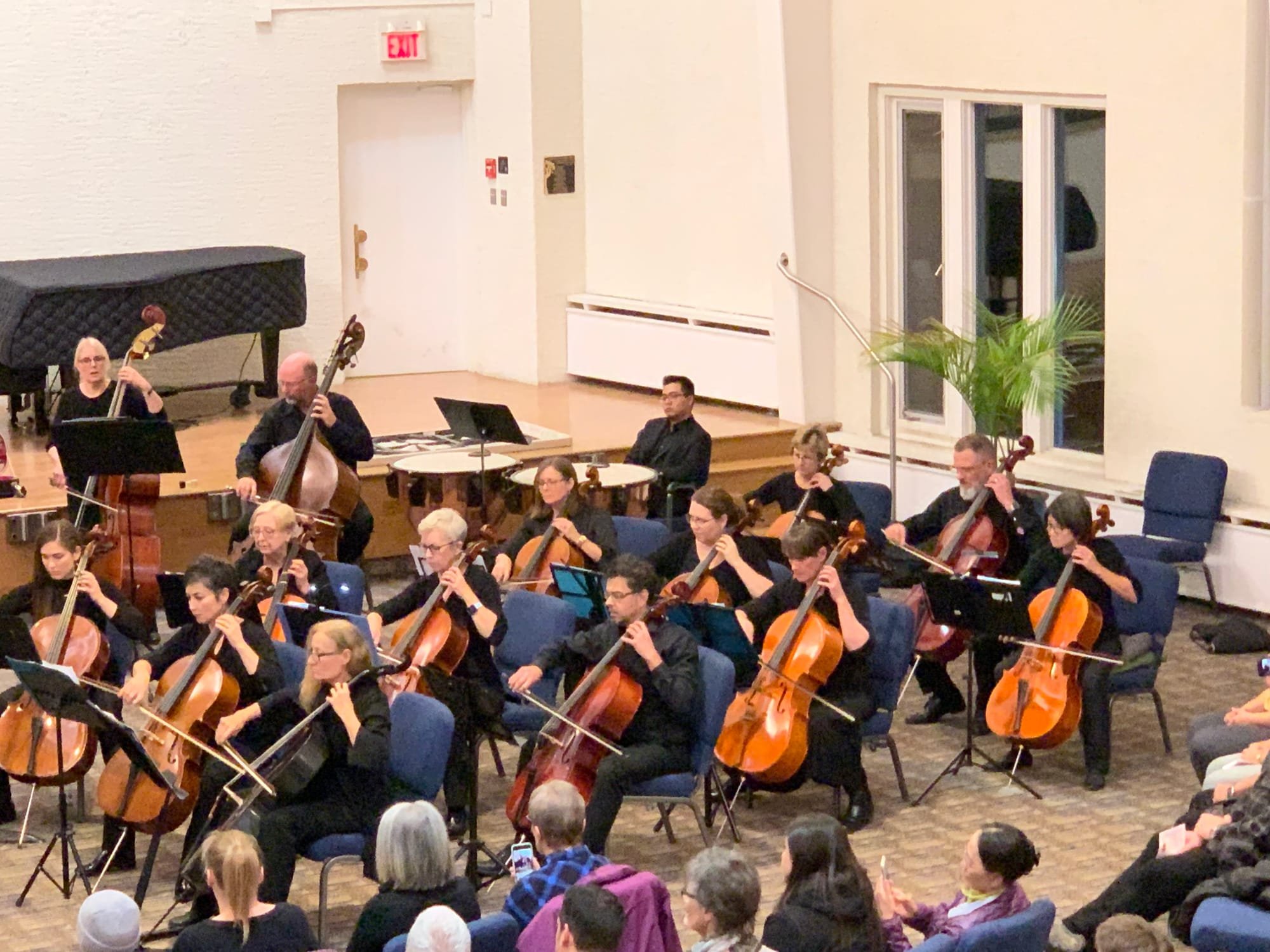 The large cello section of the CCSO, 2019