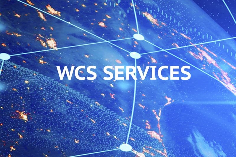 WCS Professional Services
