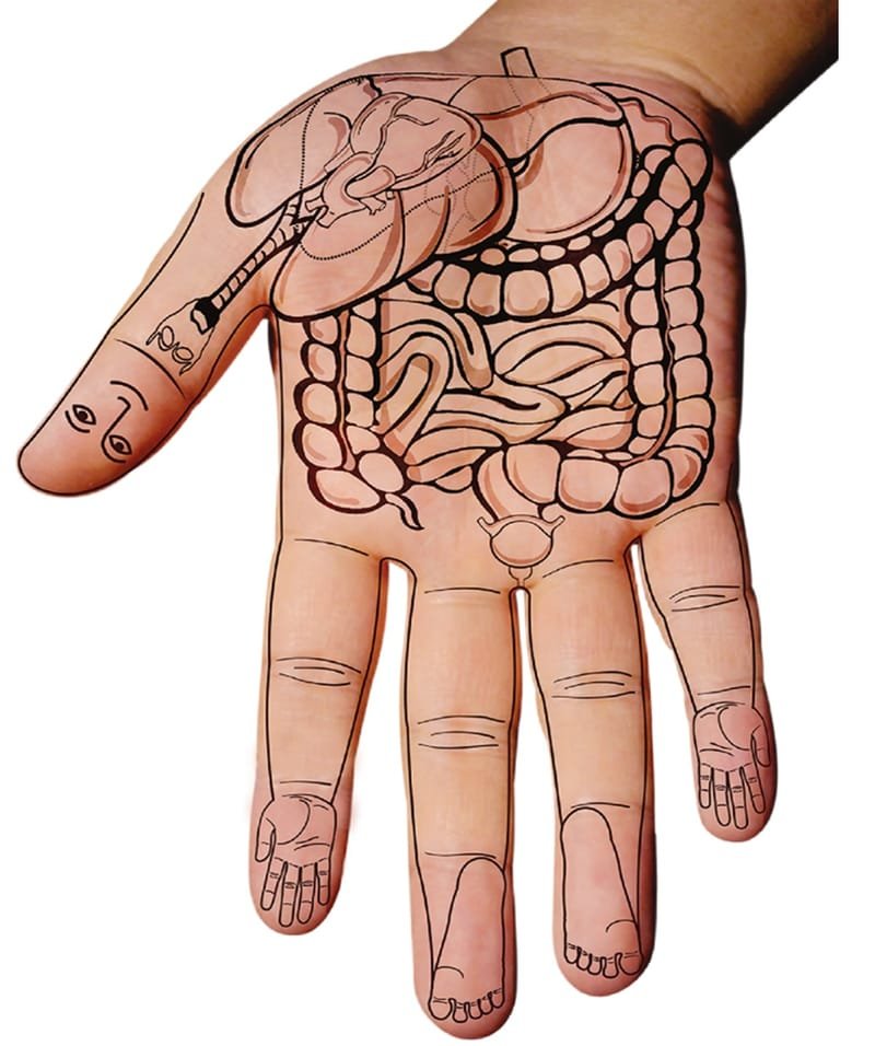 קורס סו-ג'וק בסיסי - סודות הבריאות בכפות הידיים  עם חנן זנגר -