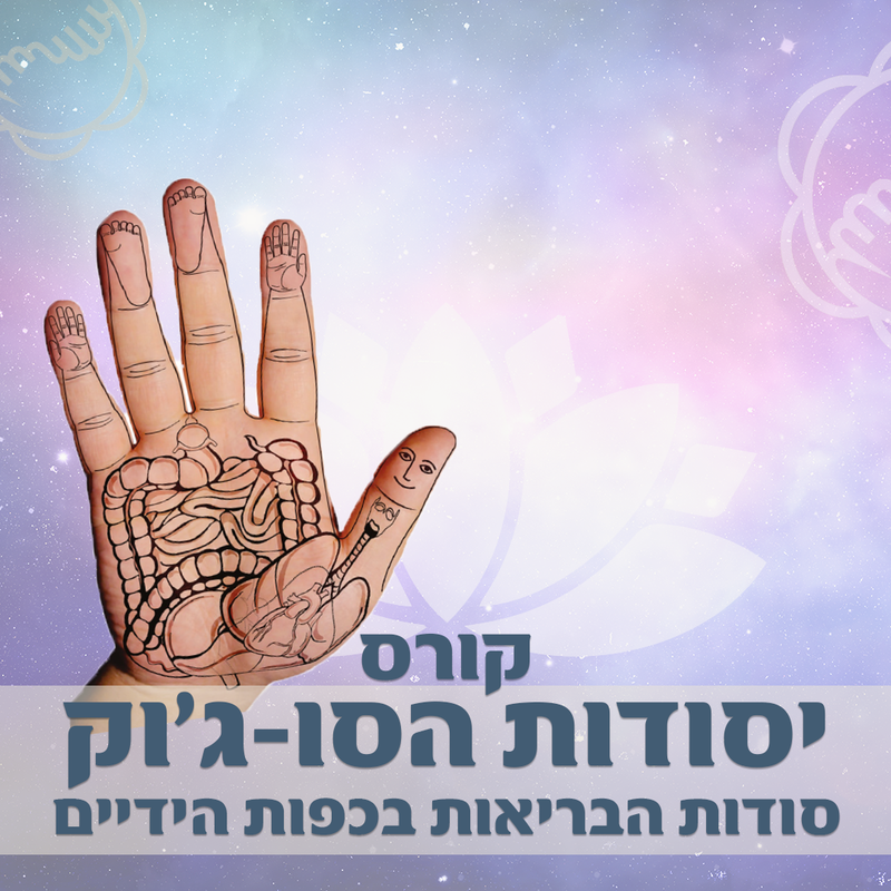 קורס יסודות הסו-ג'וק "סודות הבריאות בכפות הידיים" בירושלים