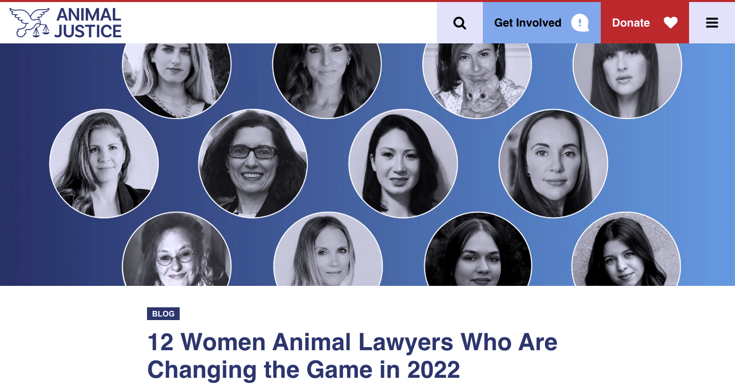 12 Women Animal Lawyers Who Are Changing The Game In 2022, March 8, 2022