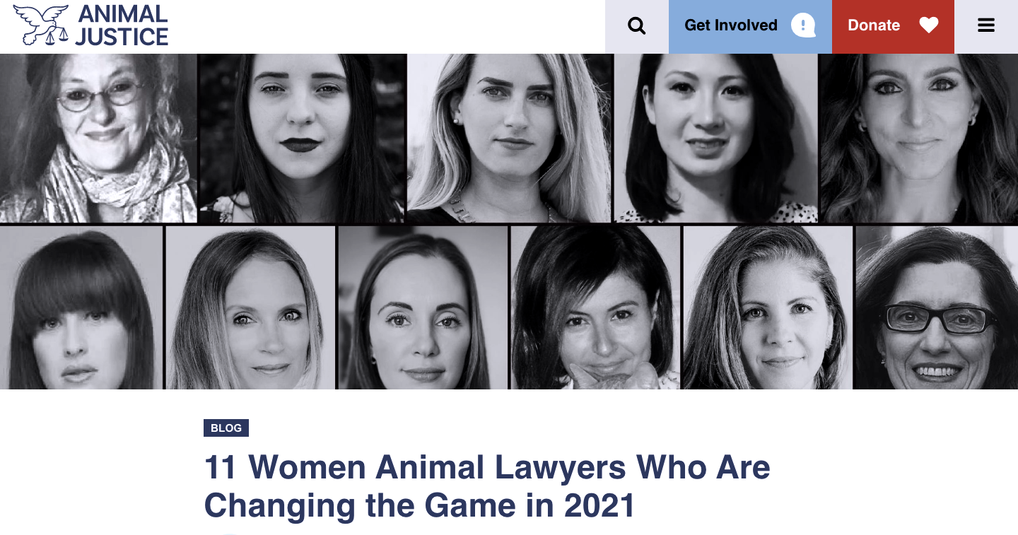 11 Women Animal Lawyers Who Are Changing the Game, March 2021
