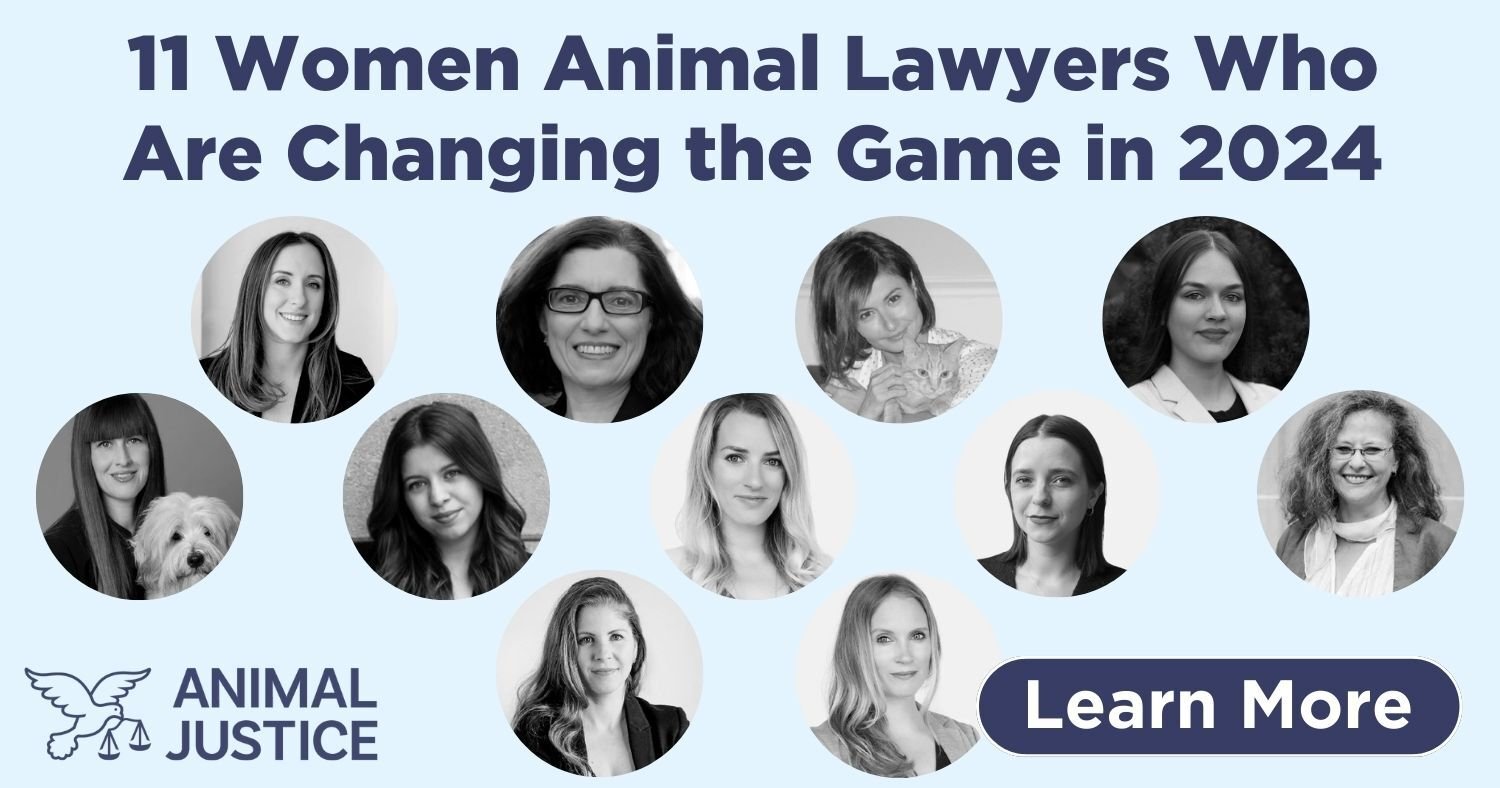 11 Women Animal Lawyers Who Are Changing the Game in 2024, Animal Justice Blog, March 8, 2024
