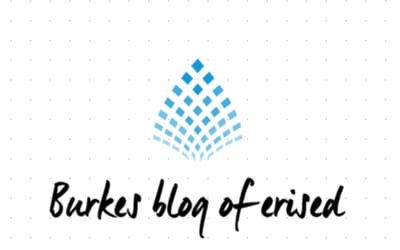Burkes Blog of Erised
