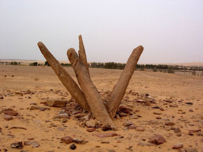 أعمدة الرجاجيل