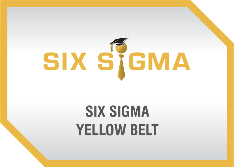 Lean Six Sigma Yellow Belt Online Training