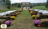The Arbor